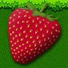 Berry Bug A Free Puzzles Game
