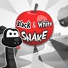 Black and white snake A Free Puzzles Game