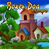  Boxer Dog Escape