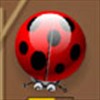 Spider Bugs A Free Action Game