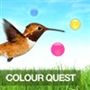 Color Quest A Free Strategy Game