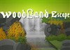 Woodland Escape