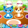 Pet Shop Caring A Free Other Game