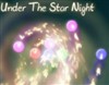 Under The Star Night A Free Puzzles Game