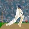 World Cup Cricket Practice A Free Sports Game