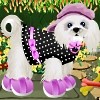 Cute Puppy Dressup A Free Dress-Up Game