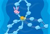 Cunning Turtle and Rabbit A Free Puzzles Game