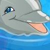 My Dolphin Show A Free Memory Game