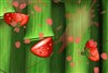 Crazy Cut Fruit A Free Puzzles Game