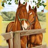 Horses Art Book A Free Other Game