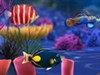 Fish Difference A Free Puzzles Game