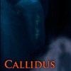 Callidus Adventure A Free Adventure Game