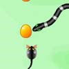 Steal Eggs A Free Action Game