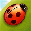 Bug Match A Free Puzzles Game