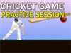 Cricket Game A Free Sports Game