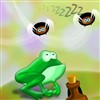 Fly Catcher A Free Puzzles Game