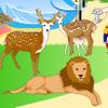 Zoo Decoration Game, Zoo Games, Decoration Games