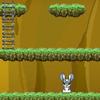 Rabbit Adventure Game