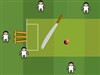 Slog Cricket A Free Sports Game