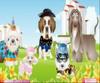 Pets In The City A Free Dress-Up Game