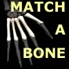 Match-A-Bone A Free Puzzles Game