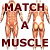 Match-A-Muscle A Free Puzzles Game