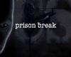 prisonbreak evolution A Free Action Game