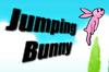 Jumping Bunny