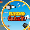 Flying Crazy A Free Action Game