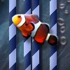 Fish Find! A Free Action Game