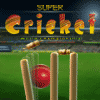 SuperCricket A Free Sports Game