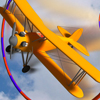 Airplane Competition A Free Action Game