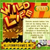 Wild Life Puzzle A Free Puzzles Game