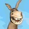 Donkey Dilemma A Free Puzzles Game