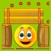 Cover Orange A Free Puzzles Game