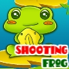ShootingFrog A Free Puzzles Game