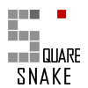 Square Snake A Free Action Game
