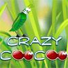 CrazyCooCoo A Free Other Game