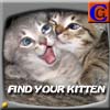 Find your Kitten A Free Action Game