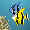 Escape the reef A Free Adventure Game