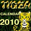 Tiger Calendar 2010