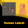 Human Labrat A Free Adventure Game