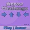Arrow Challenge A Free Action Game