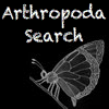 Arthropoda Search A Free BoardGame Game