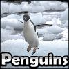 SSSG - Penguins A Free Adventure Game