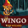 Wingo A Free Puzzles Game
