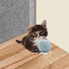 An escape game where you are stuck in a room with a cat! Have fun escaping it!