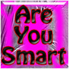 Are you Smart A Free Puzzles Game