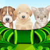 Puppy and Kitten Caring Game A Free Education Game