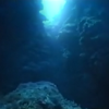 Pachiflash: Deep Sea